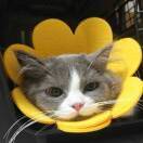 。。。