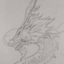 ボーリンシ君
