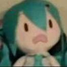 琴