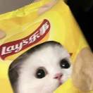 🥨
