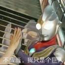 迪迦