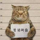 秋洋