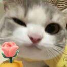 神一迹