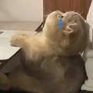 百万富翁就是我