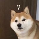啦啦啦