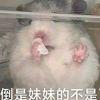 杰克