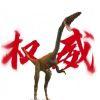 叶纸片