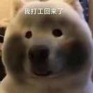 生..