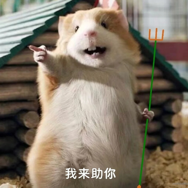金肚子