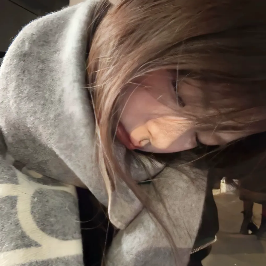 溜进小熊的梦里.