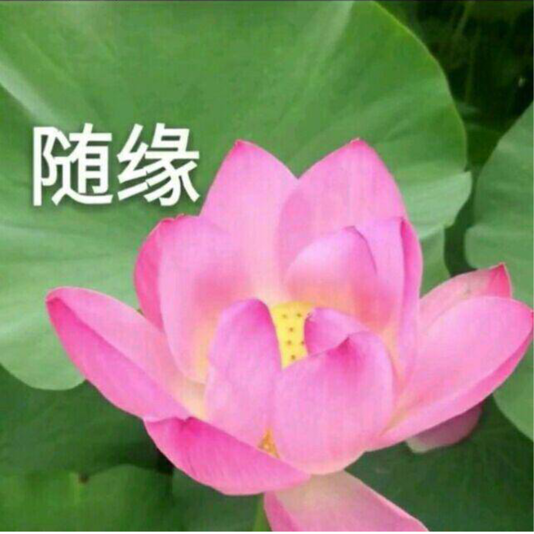 孤独的船/.