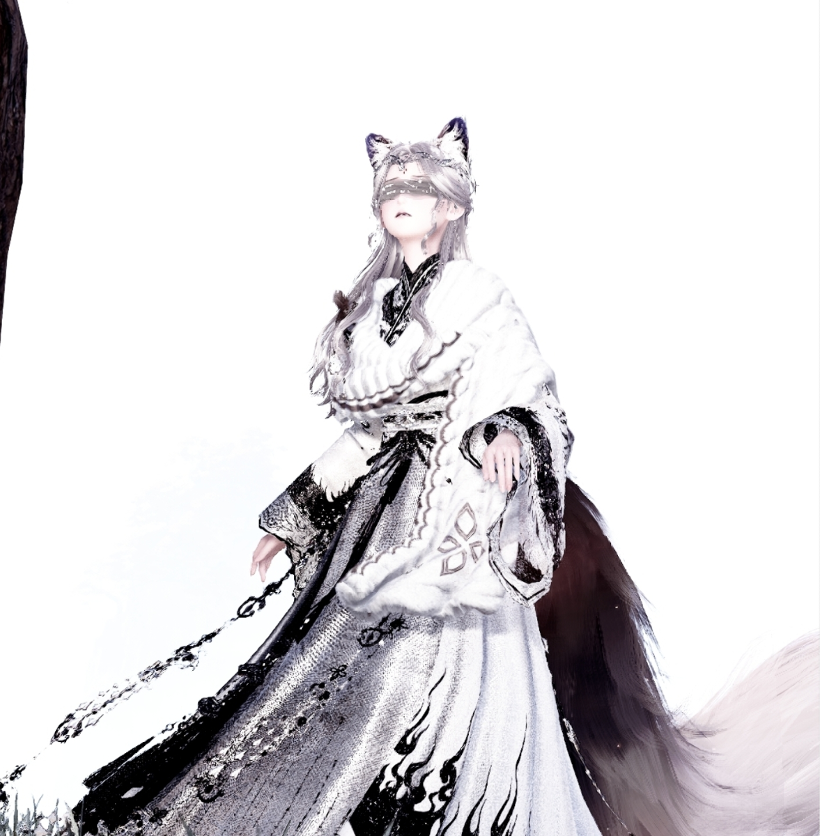 晟舟舟