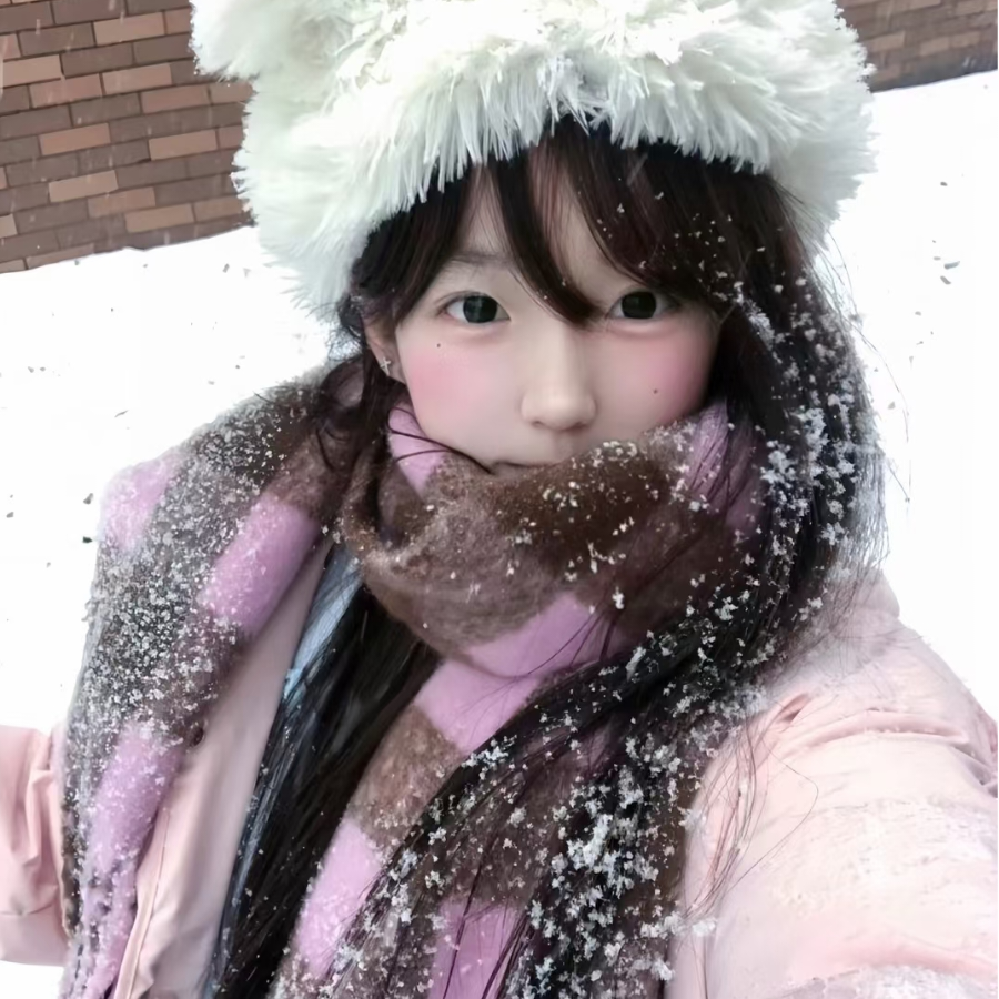 慧