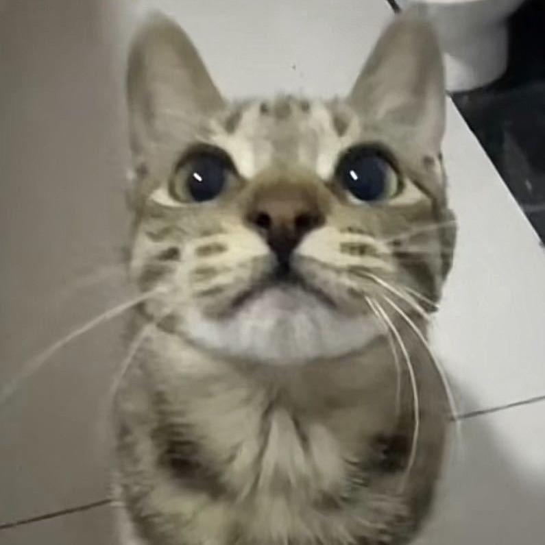 ？