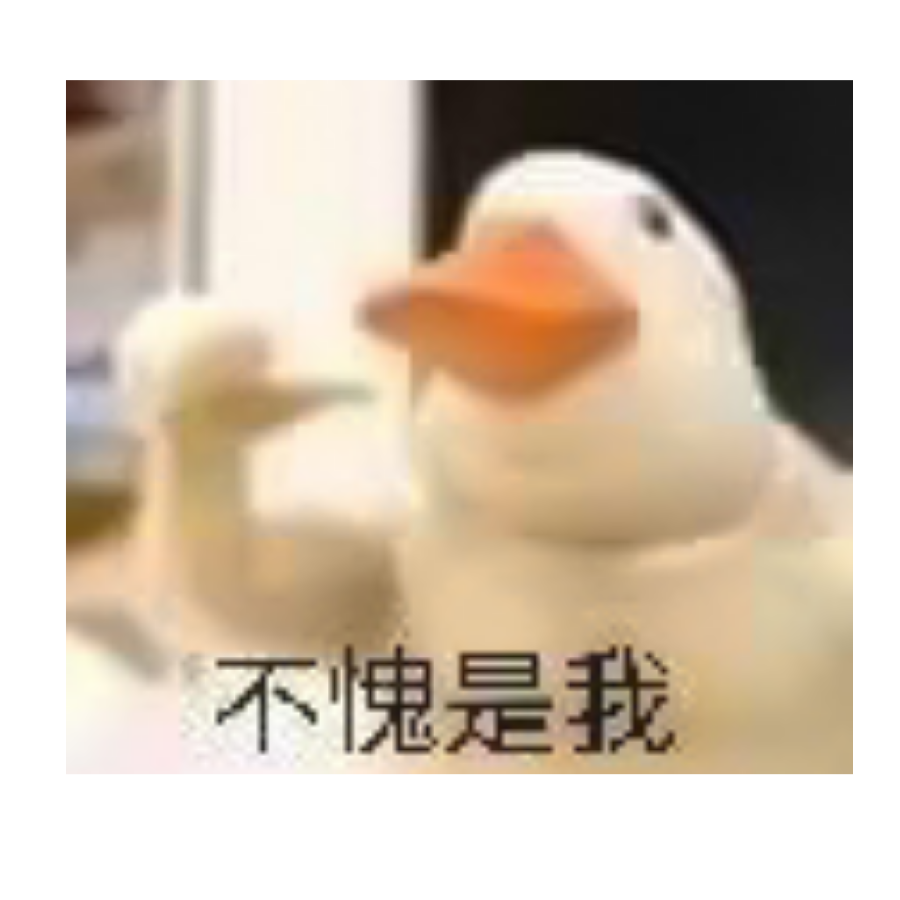 Y.