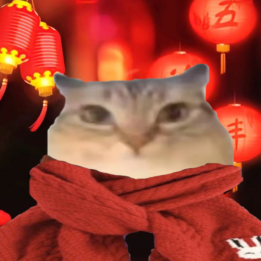 核心