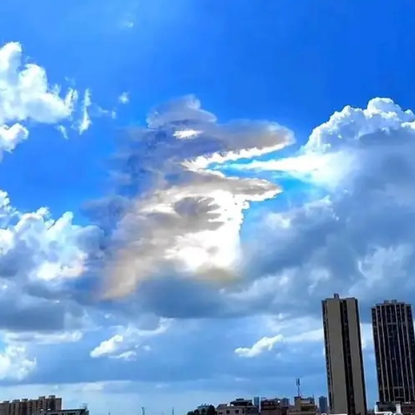 呜哇哦(・◇・)