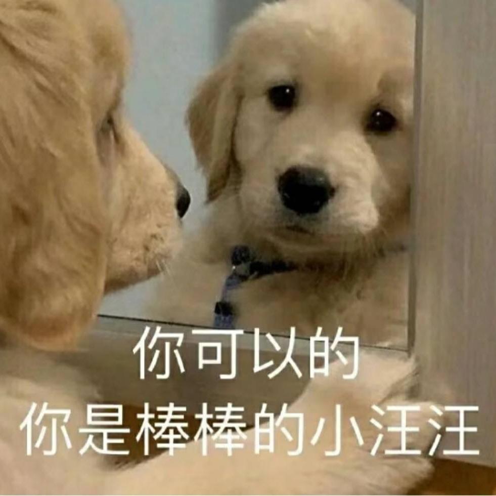 弄棋