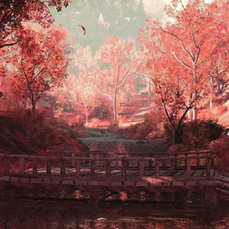 怀纸枫原