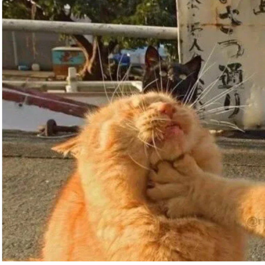 光遇好玩吗