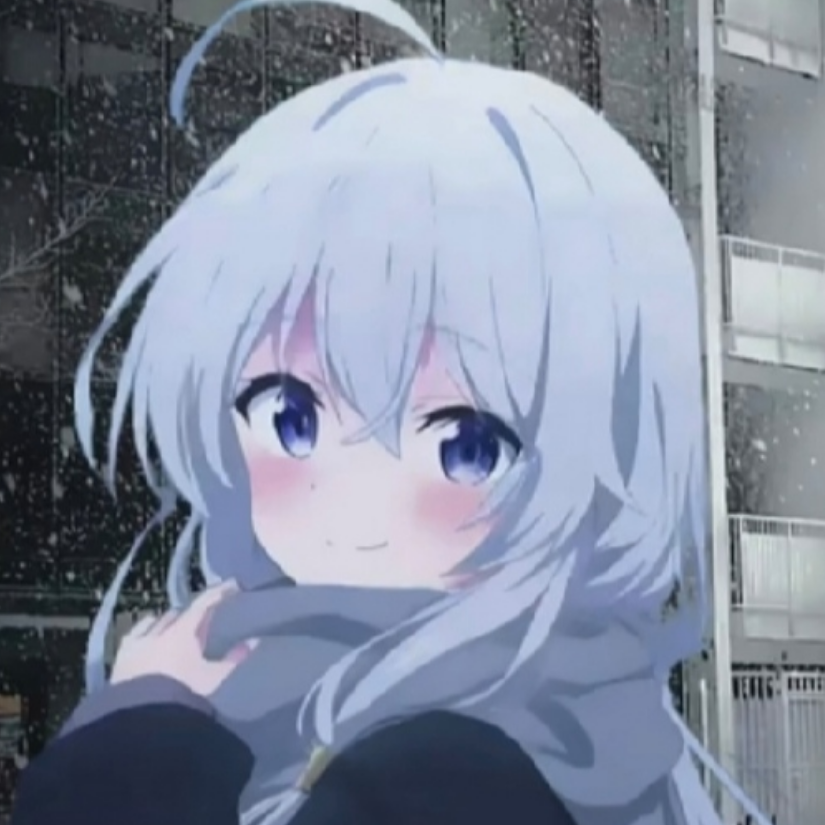枫
