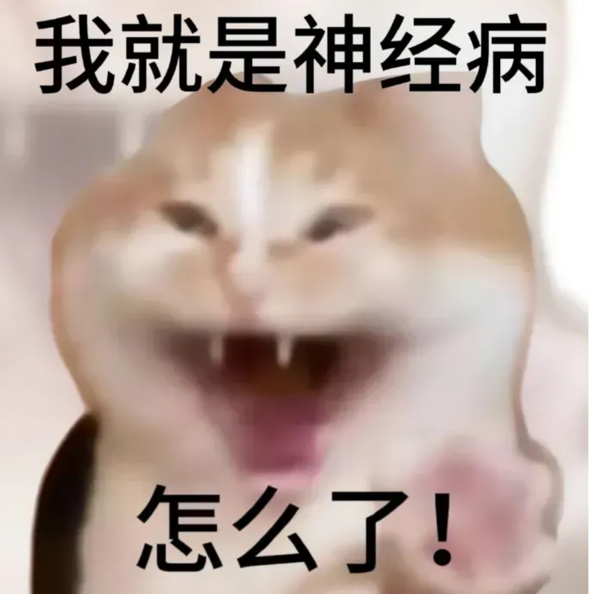 是个咸鱼