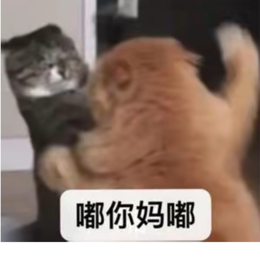 我是雷神托尔
