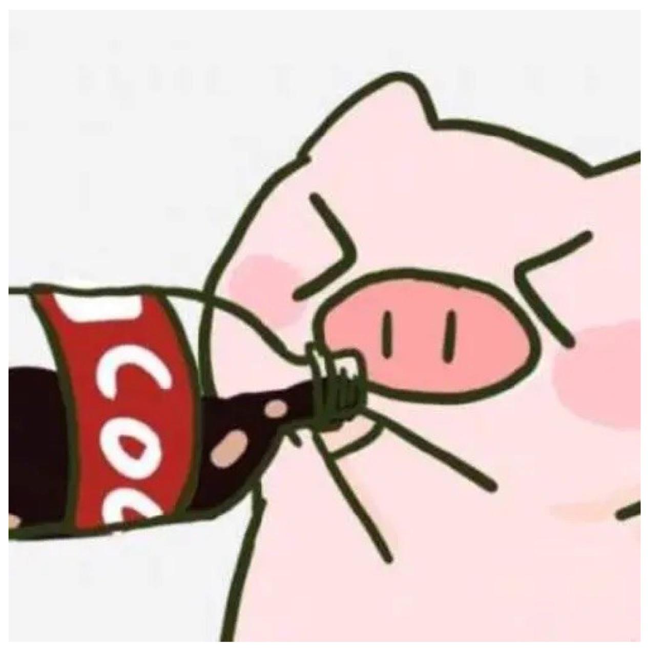 混九 呆头呆脑的猪