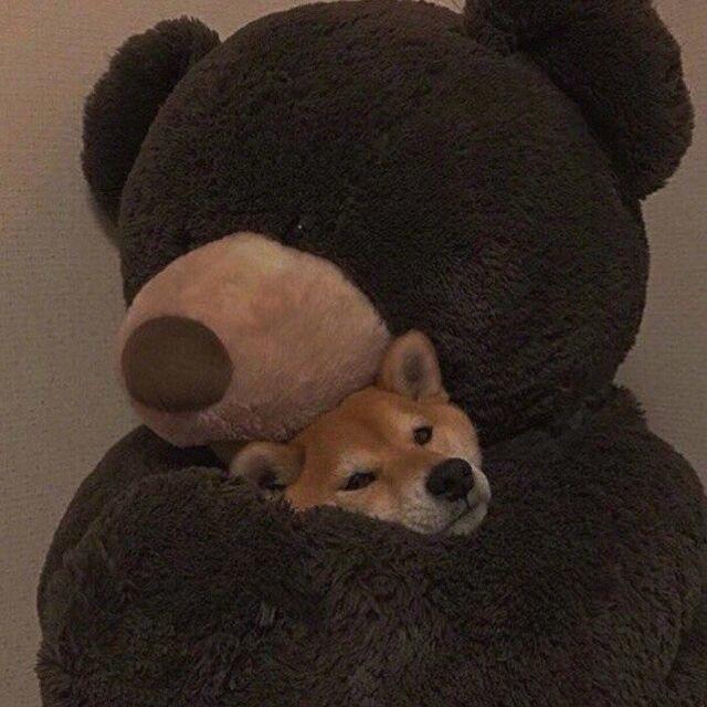 虾仁不眨眼-