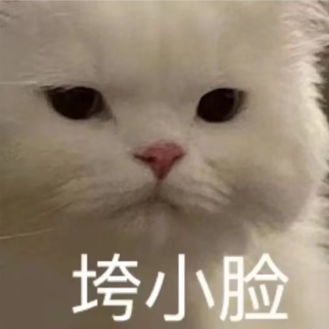 MomoneCat