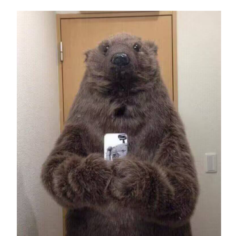 德丽莎世界第一矮