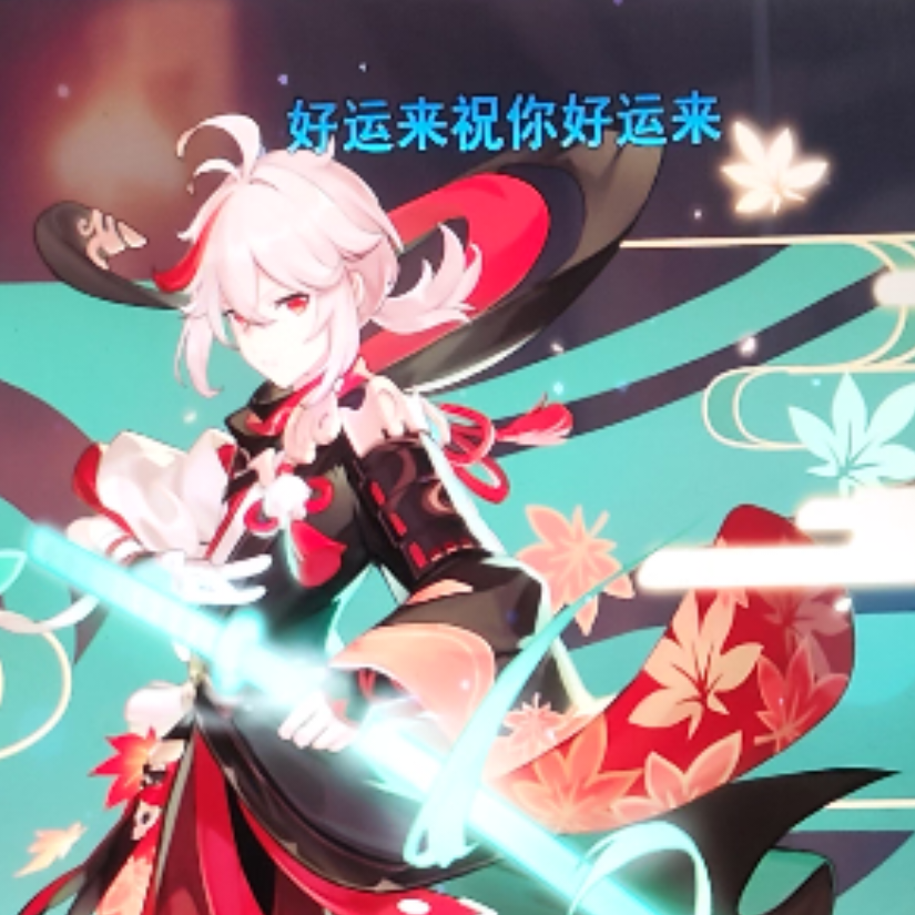 枝上落花叹春风