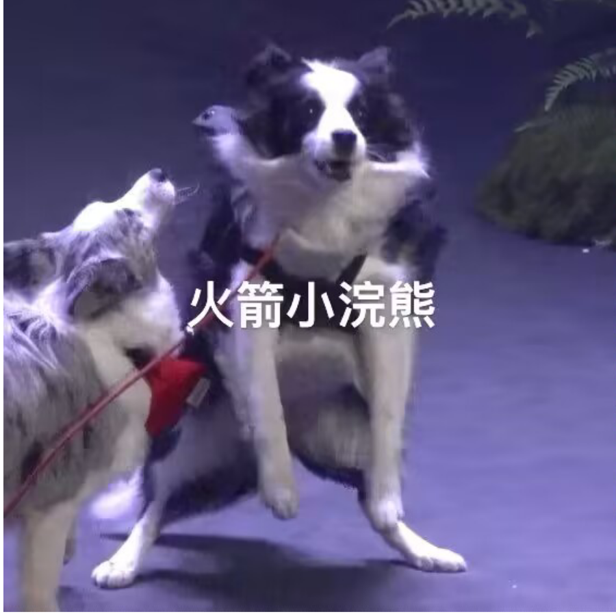 西瓜西瓜