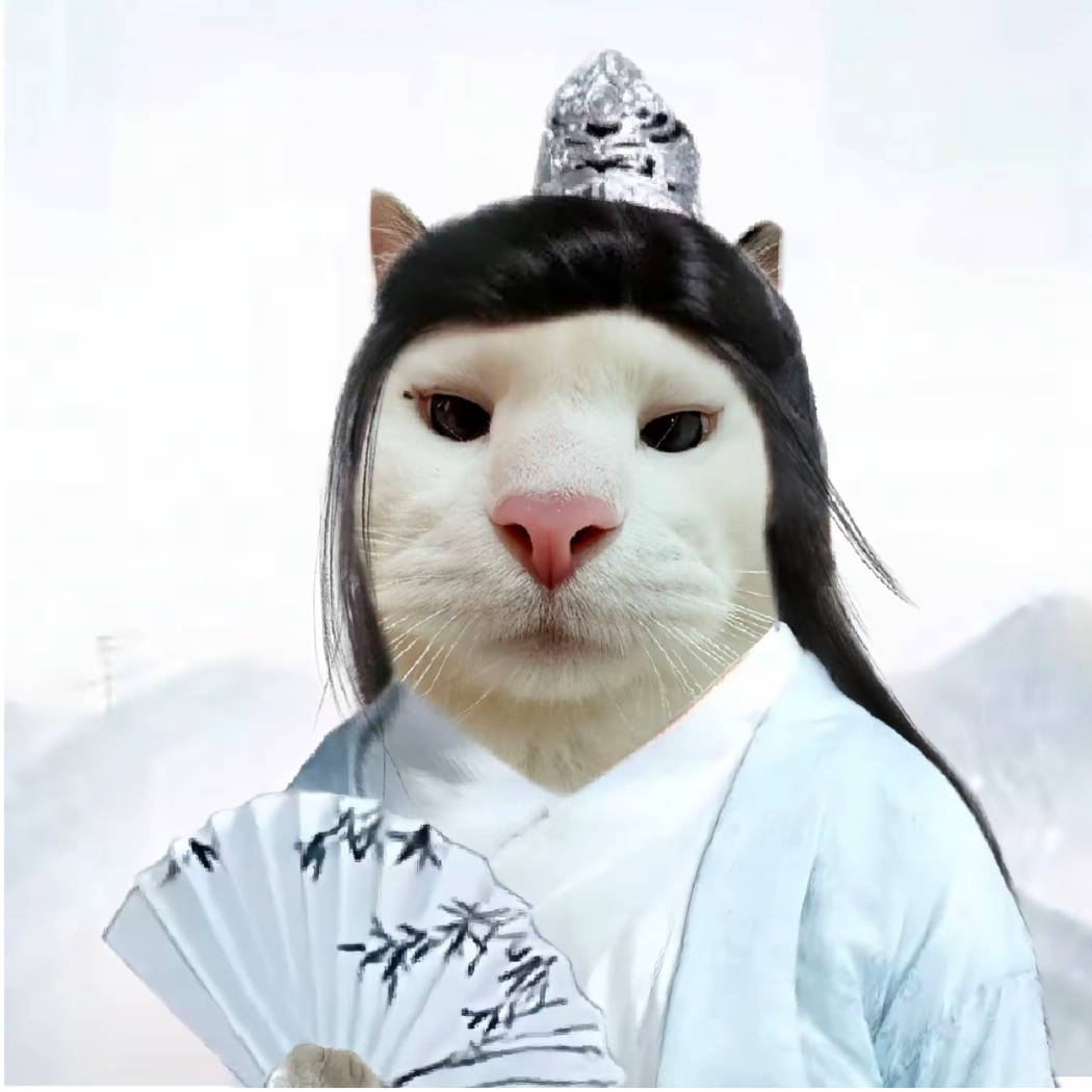 应是观
