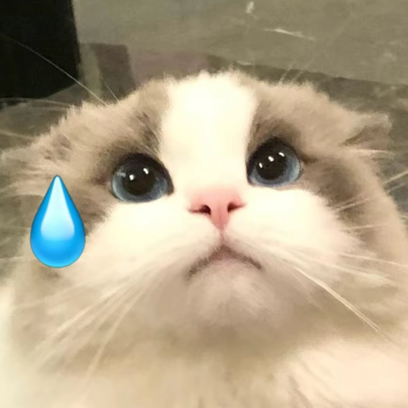 桃桃