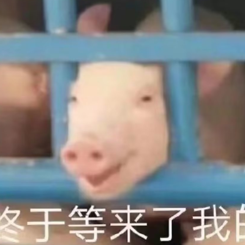 阿芙乐尔