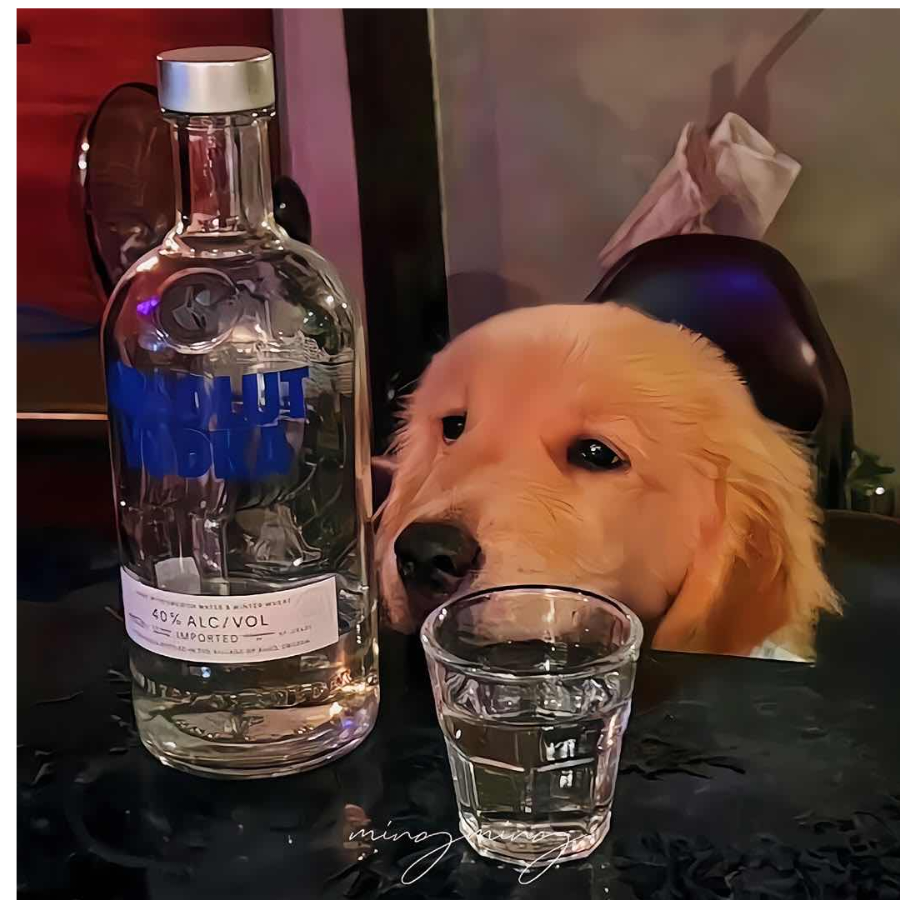 美好未来