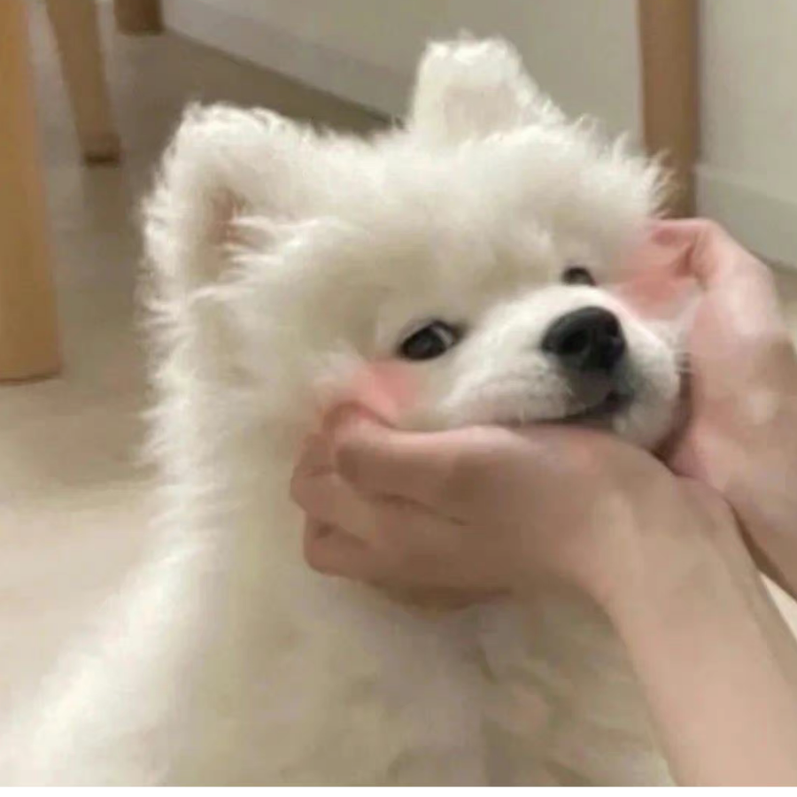昕