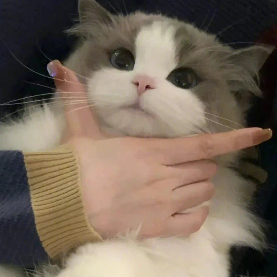小小