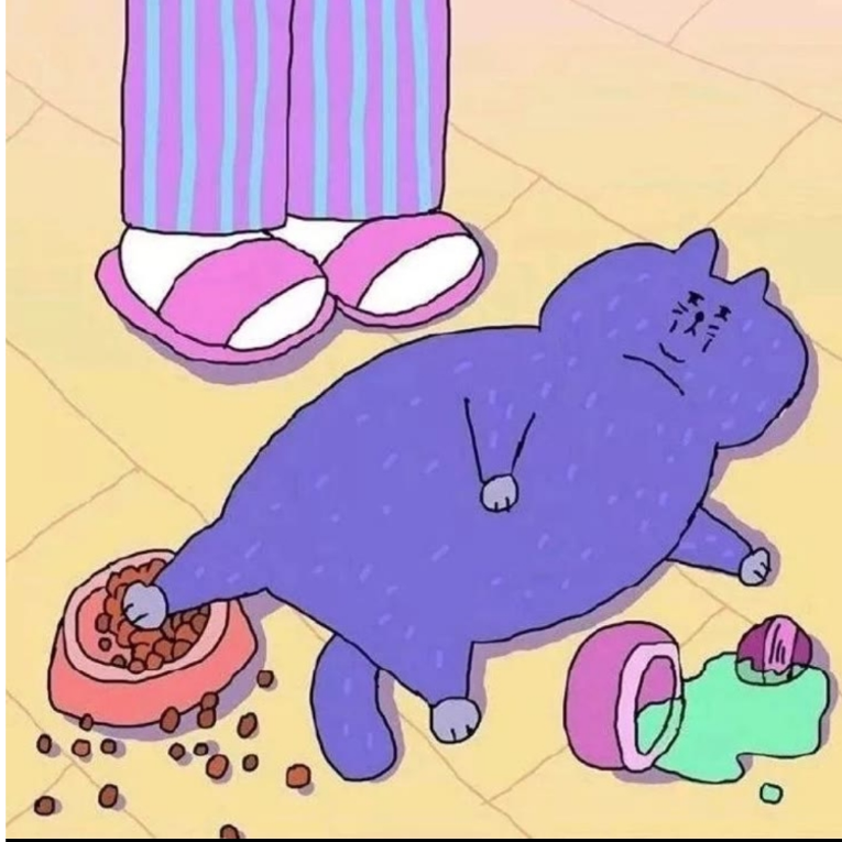懒洋洋