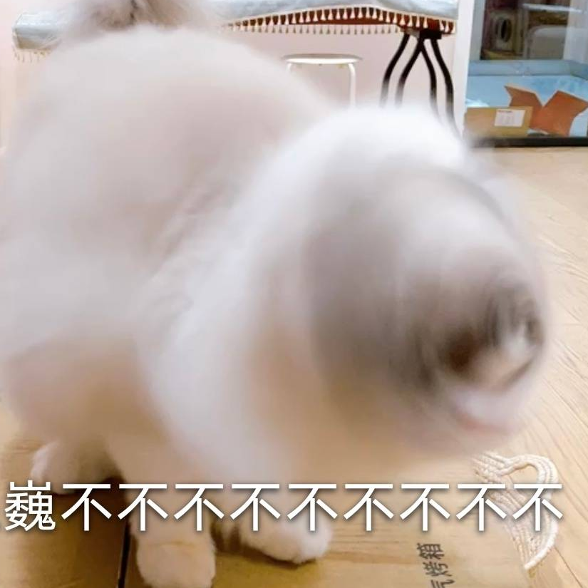 柠檬喵