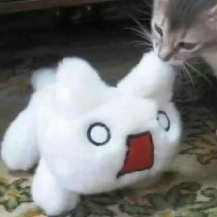 乌木