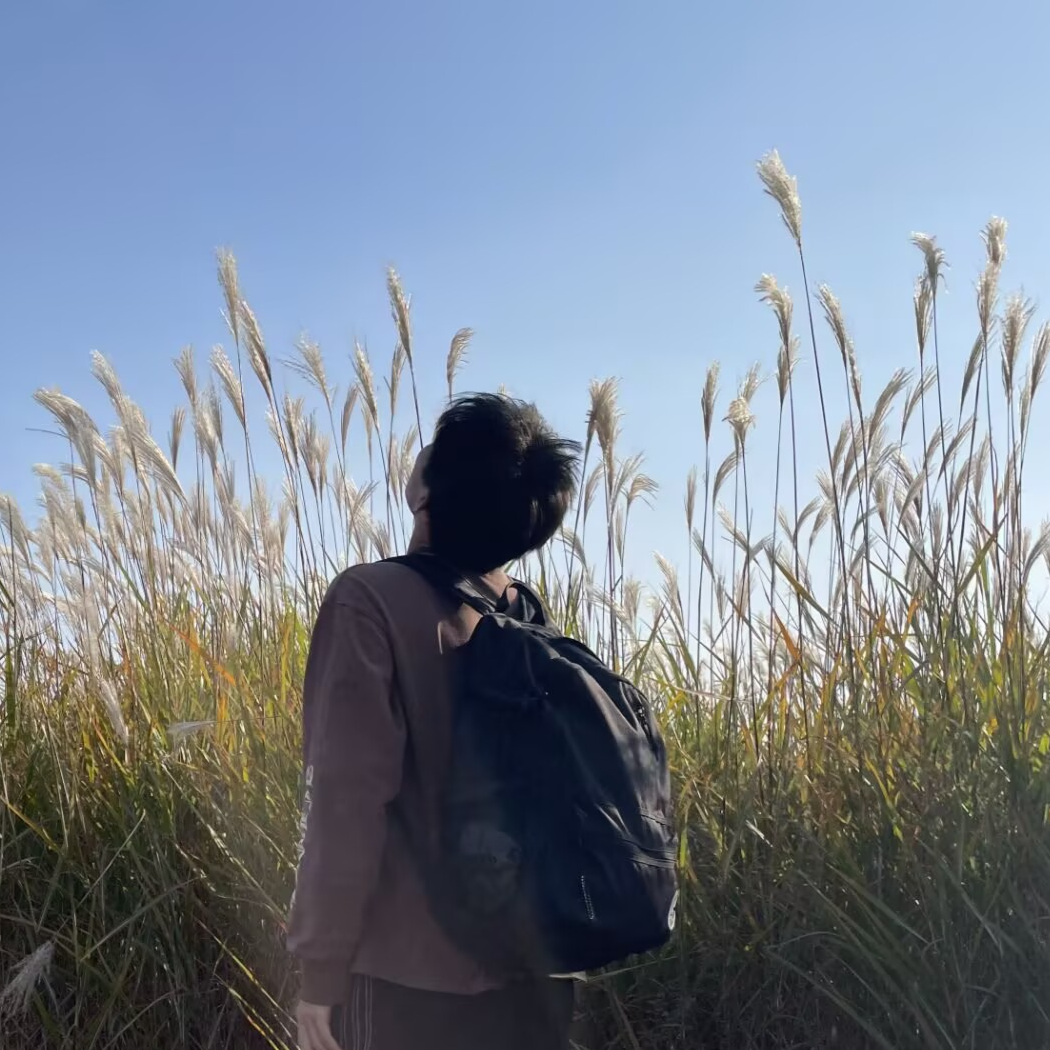 白日太阳花