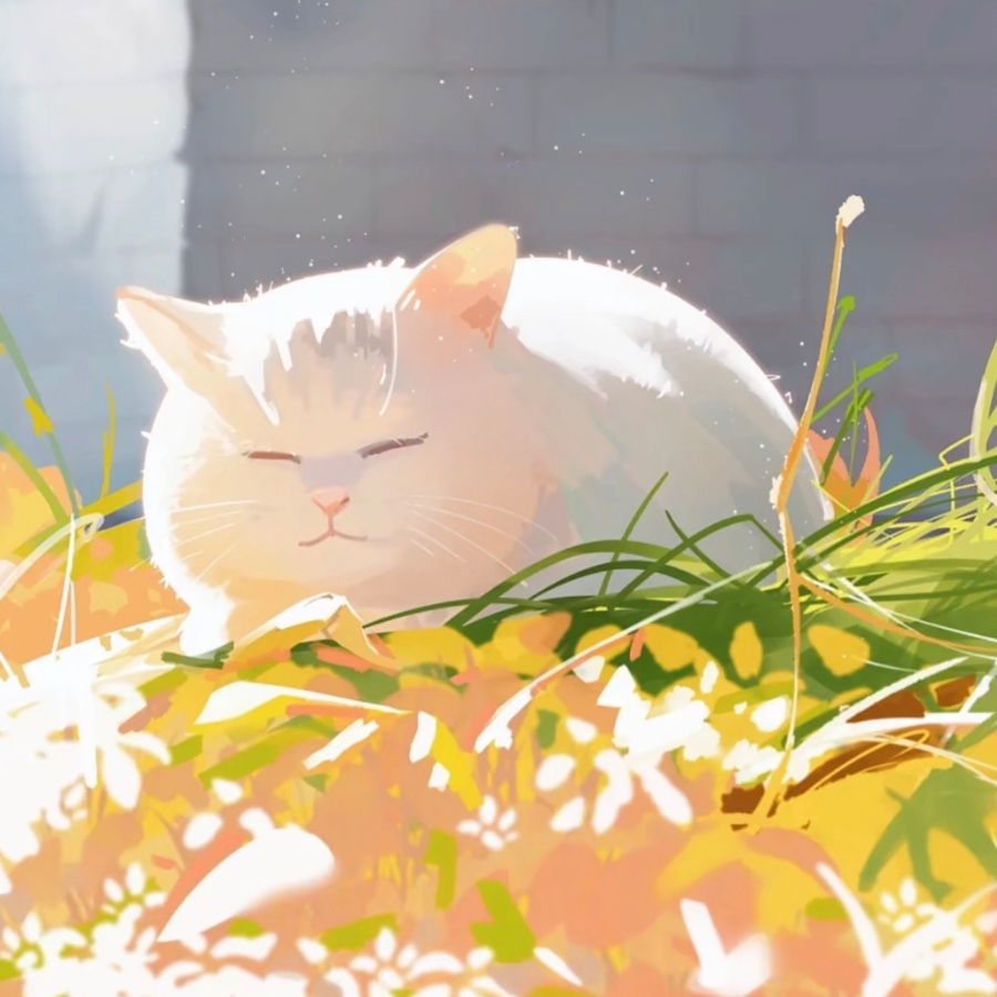 草碎上的小白猫