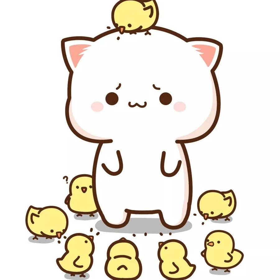 猫咪代言人