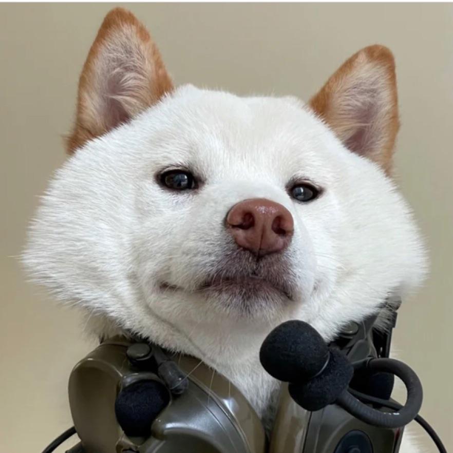哈?i