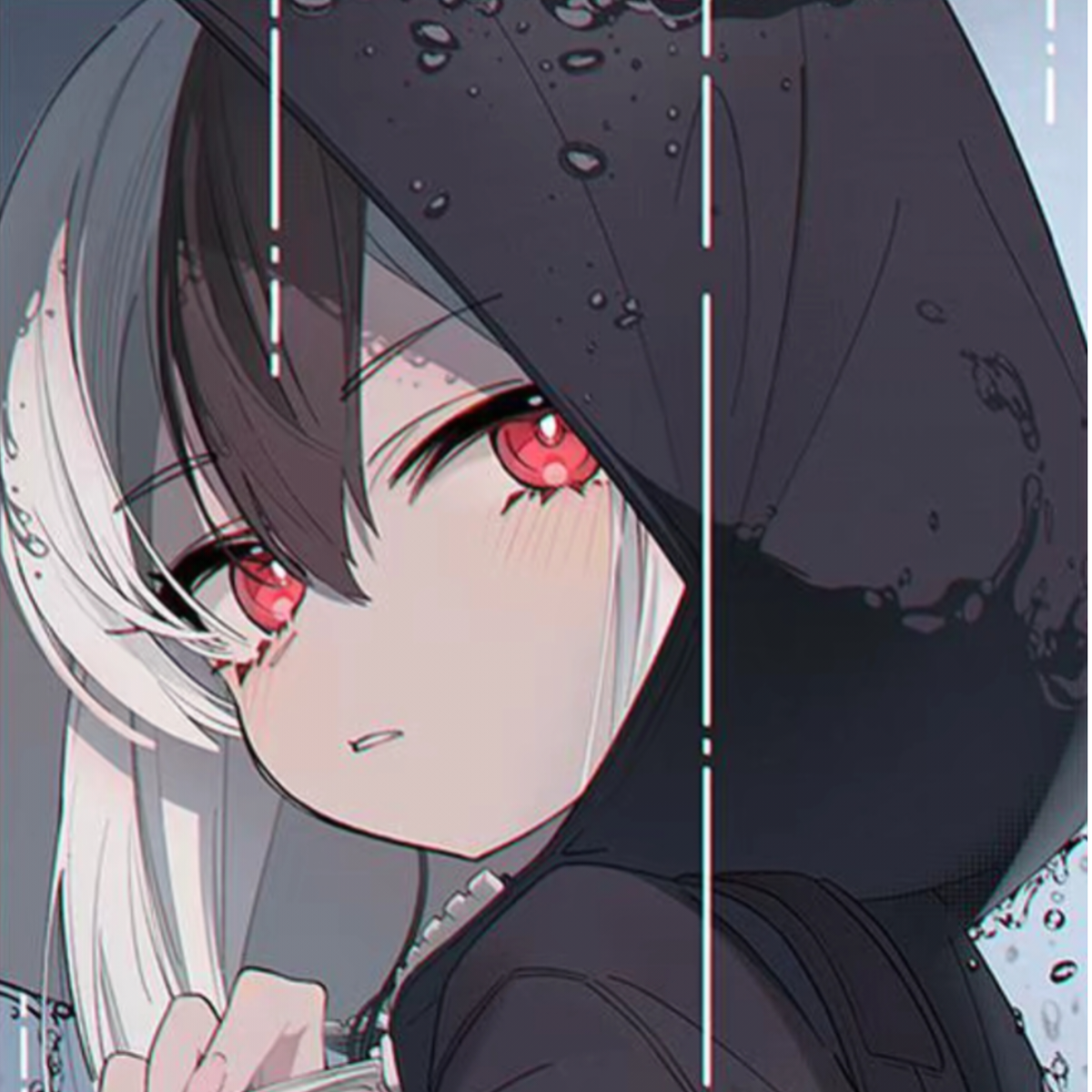 橙小c