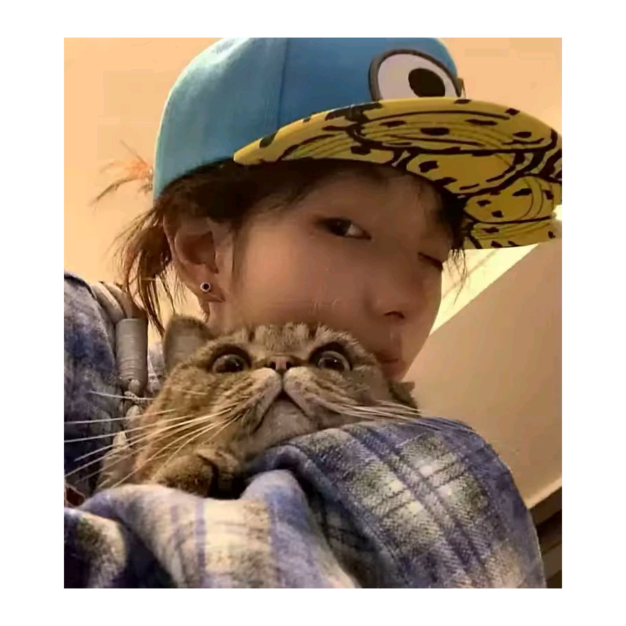 哦