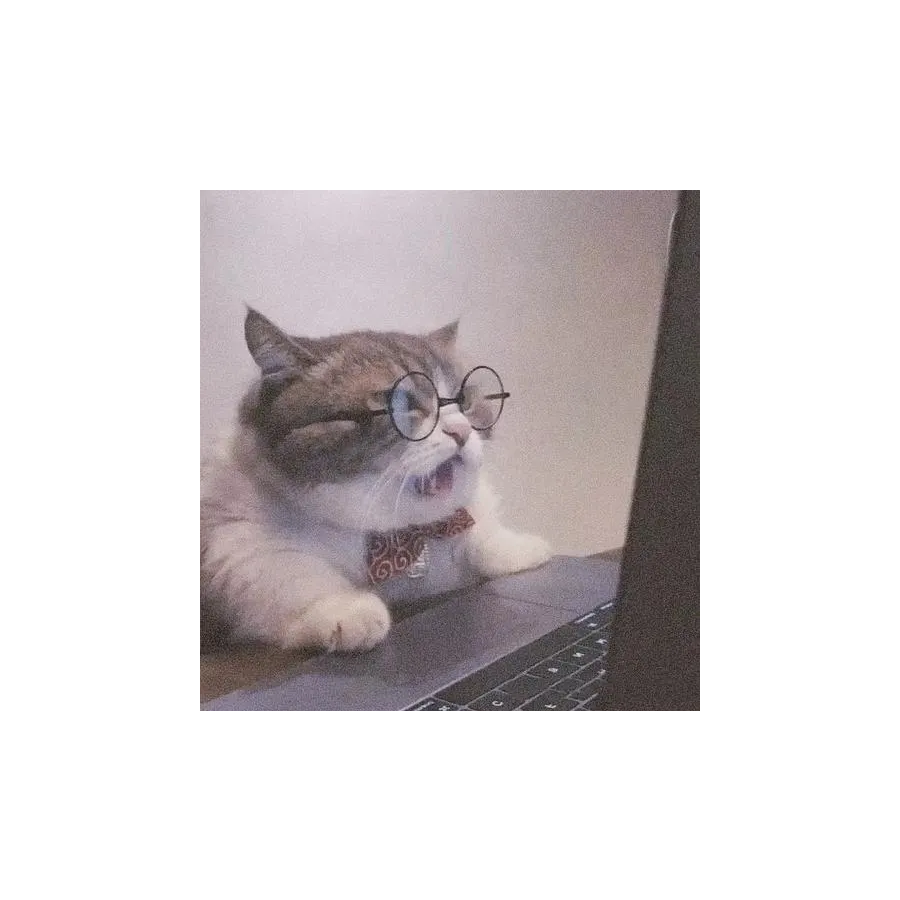 洛伽