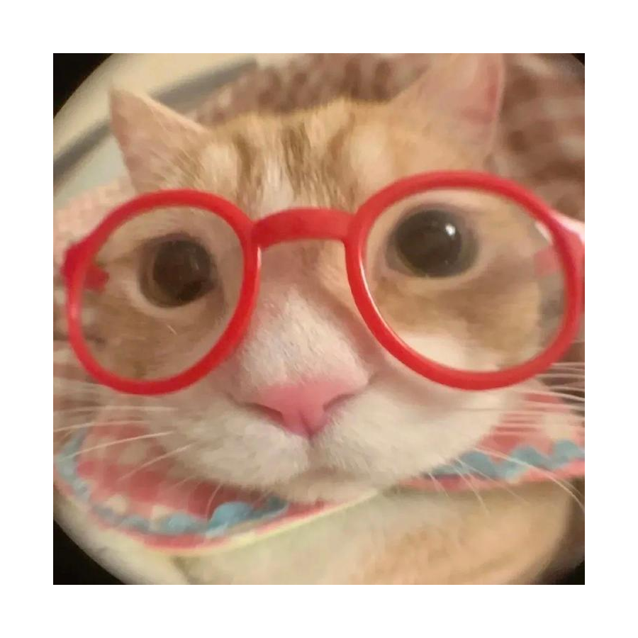 宇